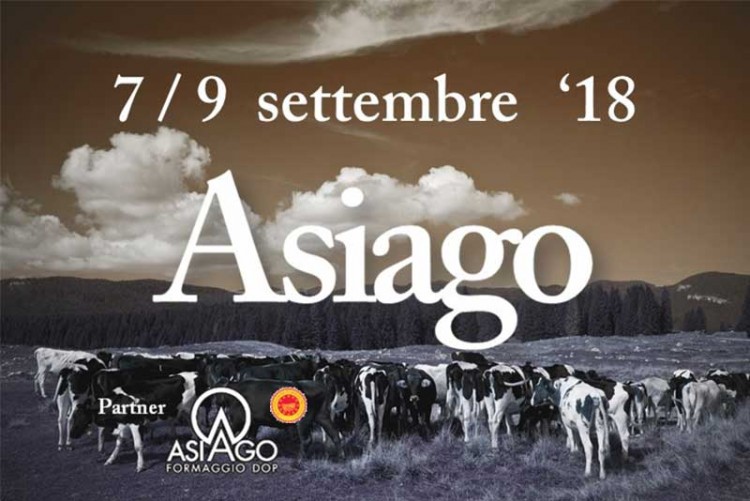 Fiera del formaggio di montagna Made in Malga 2018