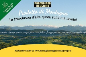 vendita Parmigiano Reggiano di montagna