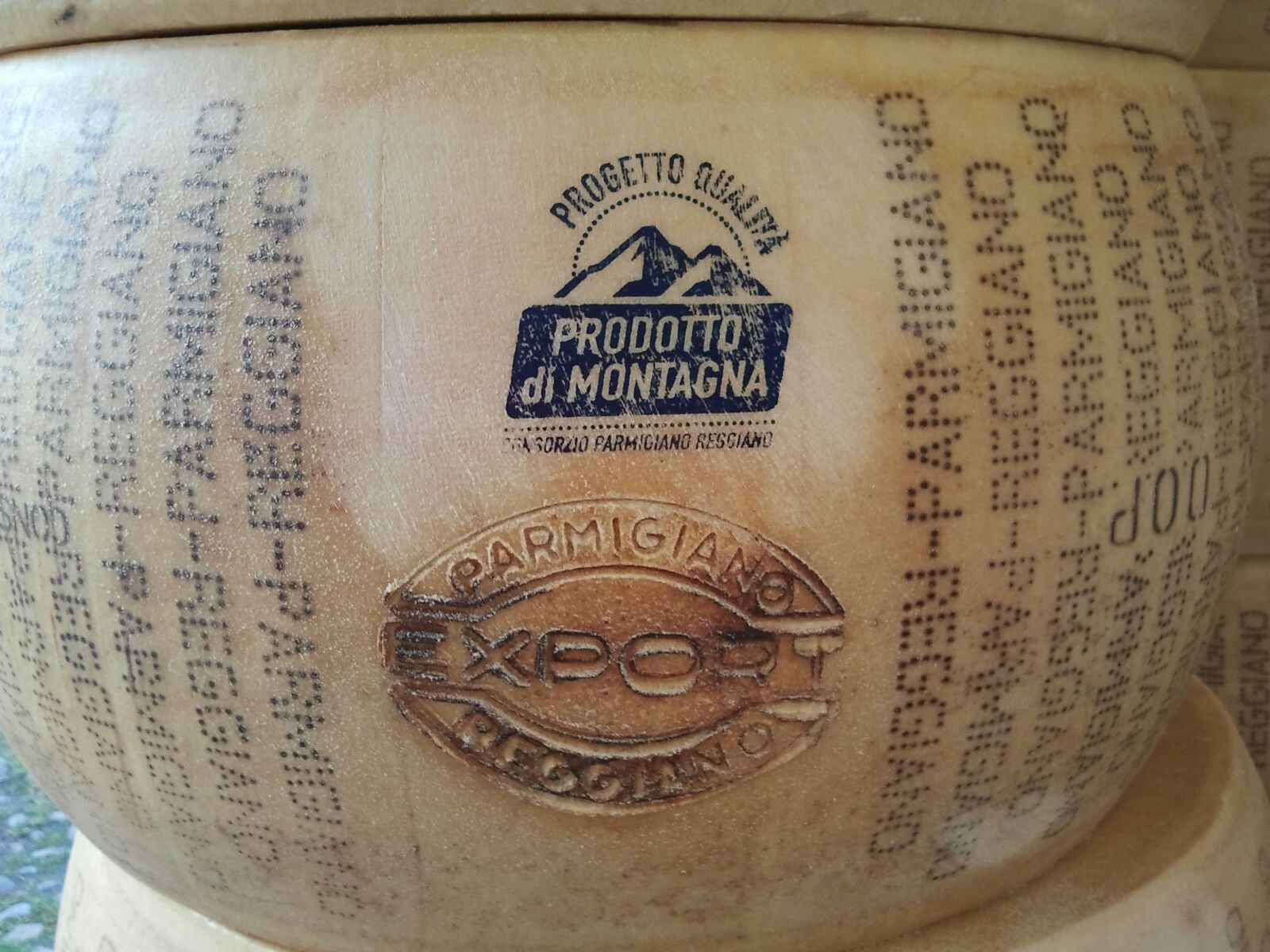 Vendita forme di Parmigiano Reggiano con marchio EXPORT